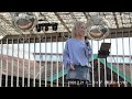 KIMIKA【2026/2/21 ミニライブ [1部]（東京ドイツ村）】