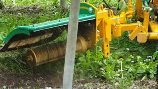 Decespugliatrice per vigneto Bruschcutter for vineyards 3