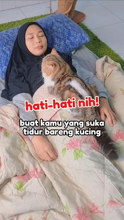 Hati - hati buat yang suka tidur bareng kucing ! #kucingtidur #videokucing #petlovers