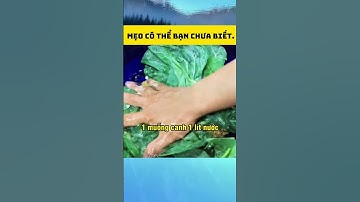 Rửa rau bằng Baking Soda: Sạch tinh tươm, ăn không lo! 🌱 #MeoRuaRau #BakingSoda #AnToan