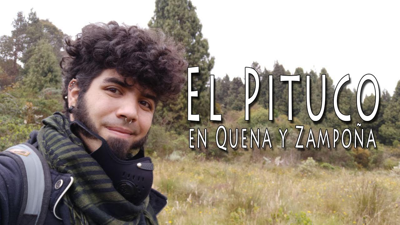 Como Tocar El Pituco en Quena y Zampoña | Tutorial con Notas Completo