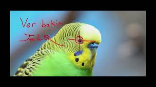 Organize - 19 X Kahraman Deni̇z