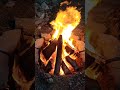 akşam sefası köyde yaşam
