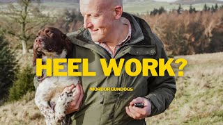 Training A 4-Month Old Puppy