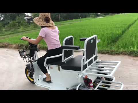 cửa hàng xe điện New Update Xe điện ba bánh 2 chỗ theo yêu cầu mẫu 2020 lh: 0983321916