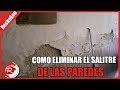 Como eliminar el salitre de las paredes