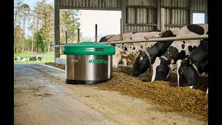 Moov 2PRO: fresh feed day and night (EN)