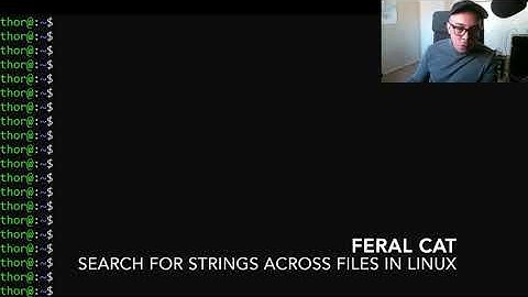 Search For Strings Across File Bodies Using The Terminal on Linux Machines