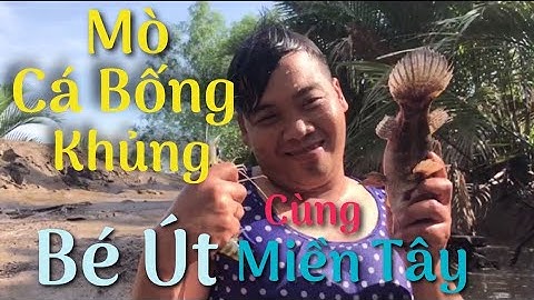Bé Ú Miền Tây Đi Mò Cá Bống Tượng khủng Và Cái Kết #13 | Cù Lao Dung Vlogs