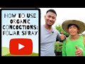 How to use Organic Concoctions: Foliar Spray (Paano gamitin ang mga concoctions pang spray)