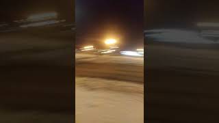 Weird wild dog noise in downtown wyandotte,MI