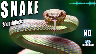 Snake Sounds , Snake Noises,Snake Hissing Sound Effect No Copyright