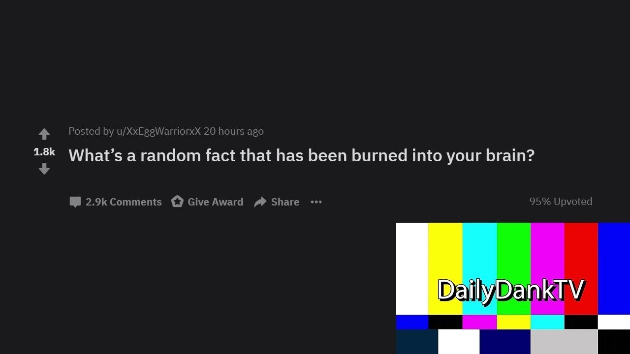 What Is A Random Fact That Has Been Burned Into Your Brain? (r/AskReddit) (Daily Dank Reddit #12)