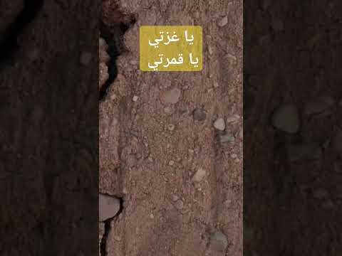 يا غزتي يا قمرتي أغان جميع أنواع الأغاني والموسيقى والعربية مترجمة و بدون موسیقی 