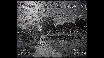 Skyzone Cobra X SteadyView Reception