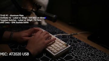TX-65 PC w/ Tungsten Switches ft. my cat | Typing ASMR