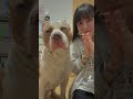 ロッキーとTikTok!嫌そうな顔してない?【TikTok】#shorts