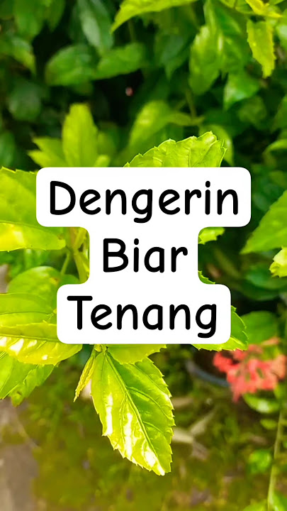 keindahan alam dikampung #desa #alam #indah #ytshorts #explore #qoriinternasional #suaramerdu #sisi