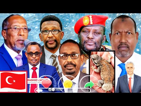 HABAARKII JIHEEYE,DUCADII MUSE BIIXI,BARKHAD BATUUN OO BURCO DHIIGA KU KICIYEY & MAAYIR MID FEEDHAY!