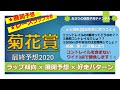 【競馬予想】菊花賞2020 最終予想 コントレイルの三冠達成に待った！枠順の不安点と逆転候補について解説します！