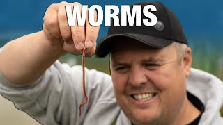 Worm Rig | Deep Water | No Nonsense Guide | Jamie Hughes