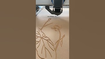 customized 2 Sets of 2000*5000mm carousel atc cnc router for our Indonesia Customer