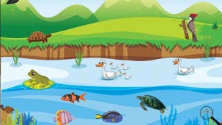 Phonics song For Kids All about Fish for Kids | Learn the characteristics of fish | What is a fish?