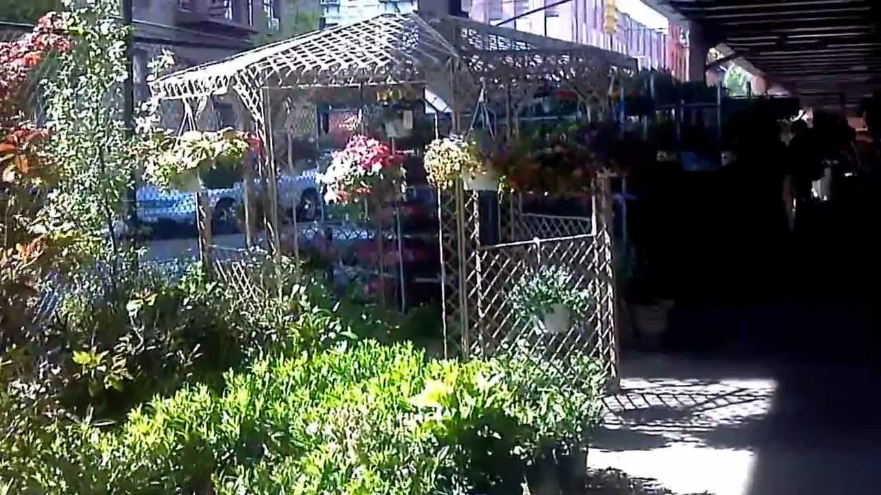 to Urban Garden Center East Harlem NYC YouTube