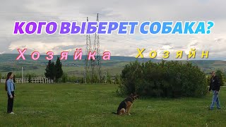 Кого выберет собака,хозяйку или хозяина?