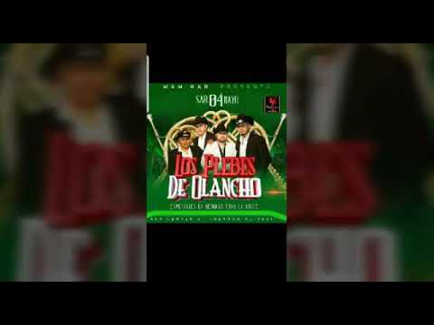 El paniquiado los plebes de olancho 2019