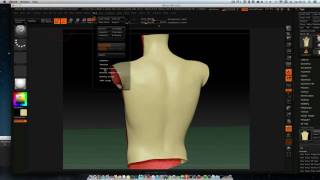 Daves Backpiece Modelled out
