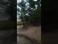 Cyclone yaas ! Live update from Balasore🌀🌀 🌀 #shorts