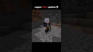 🦆 Copper Before Update vs After Update in Minecraft 😂 Nobody Cares! #minecraft #shorts