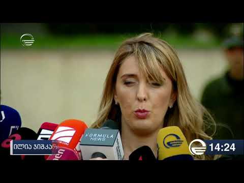 ილია ჯიშკარიანის საქმე