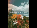 Slander  love is gone ft dylan matthew acoustic  lyrics  teacher lei palo