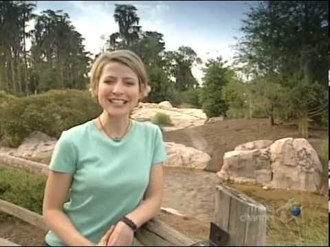 Great Hotels - Disney's Wilderness Lodge - YouTube.