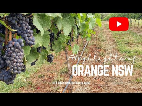 Highlights of Orange NSW