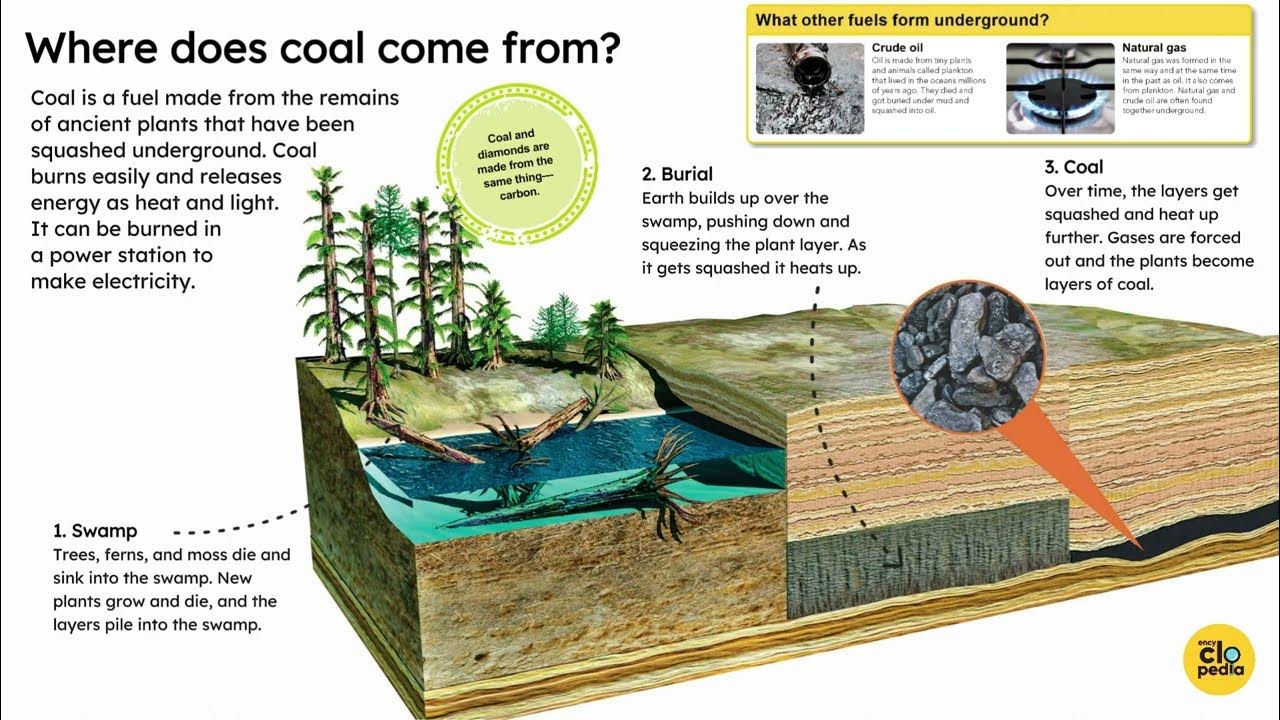 Where does coal come from ? YouTube