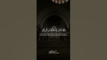 (يَا أَيُّهَا النَّاسُ إِنَّا خَلَقْنَاكُمْ مِنْ ذَكَرٍ وَأُنْثَىٰ)|سورة الحجرات|عبدالباسط عبد الصمد