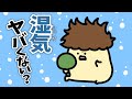 最近 湿気ヤバい 最近 湿気ヤバい