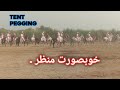 Nezabazi in panjab pakistan  best horse riding eventqutbia