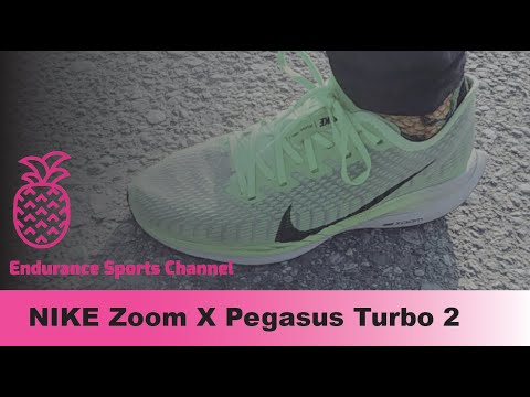 Nike Pegasus Turbo