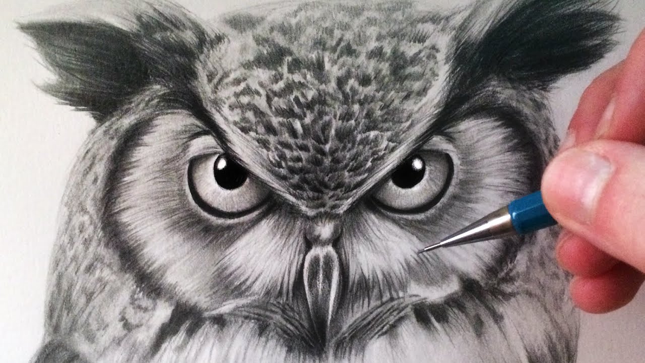 How To Draw An Owl