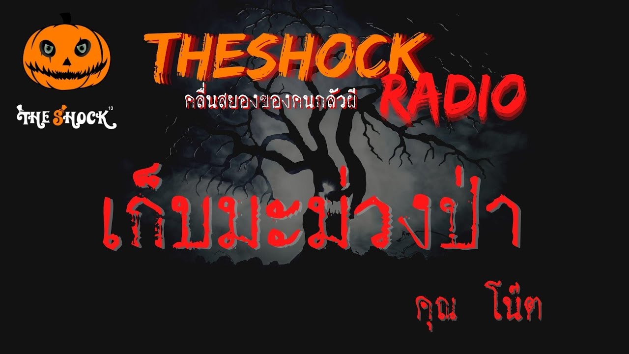 เก็บมะม่วงป่า คุณ โน๊ต l TheShock13