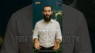 תניא יומי - י"ב חשון | הצדיק הסתלק? הקשר רק התחזק! איך מושכים את החיות הרוחנית שלו?