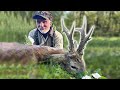 Jagd auf große, abnorme Böcke / Medal class roebuck hunting / Bukke jagt i Rumaenien