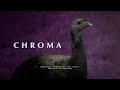 CHROMA | GH7 + SIGMA 60-600MM