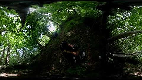 roli axoloti in the woods #1