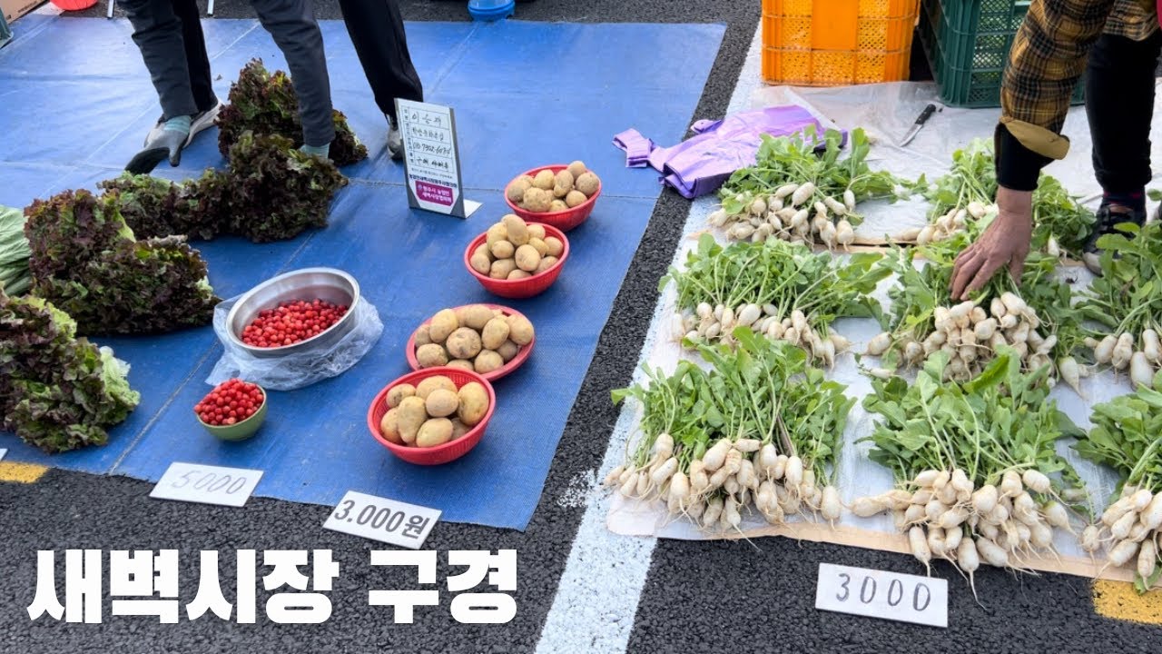 농민이 직접파는 직거래장터_원주새벽시장 | 제철 채소 농산물시장 | 원주여행 원주가볼만한곳 | 시골집 일상 | 자급자족 시골라이프