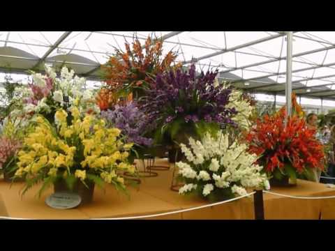 Видеоролик: Chelsea Flower Show 2012